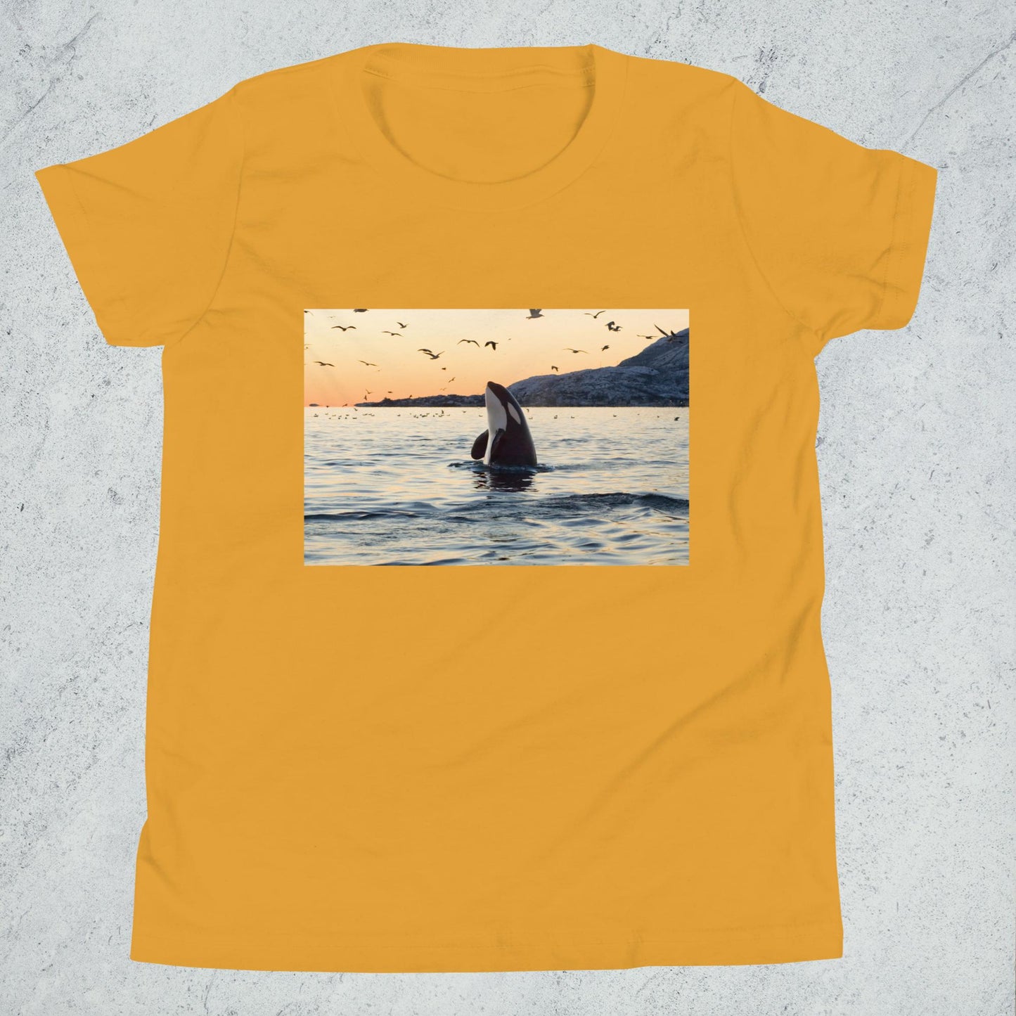 A Killer Whale Sunset - Youth T-Shirt