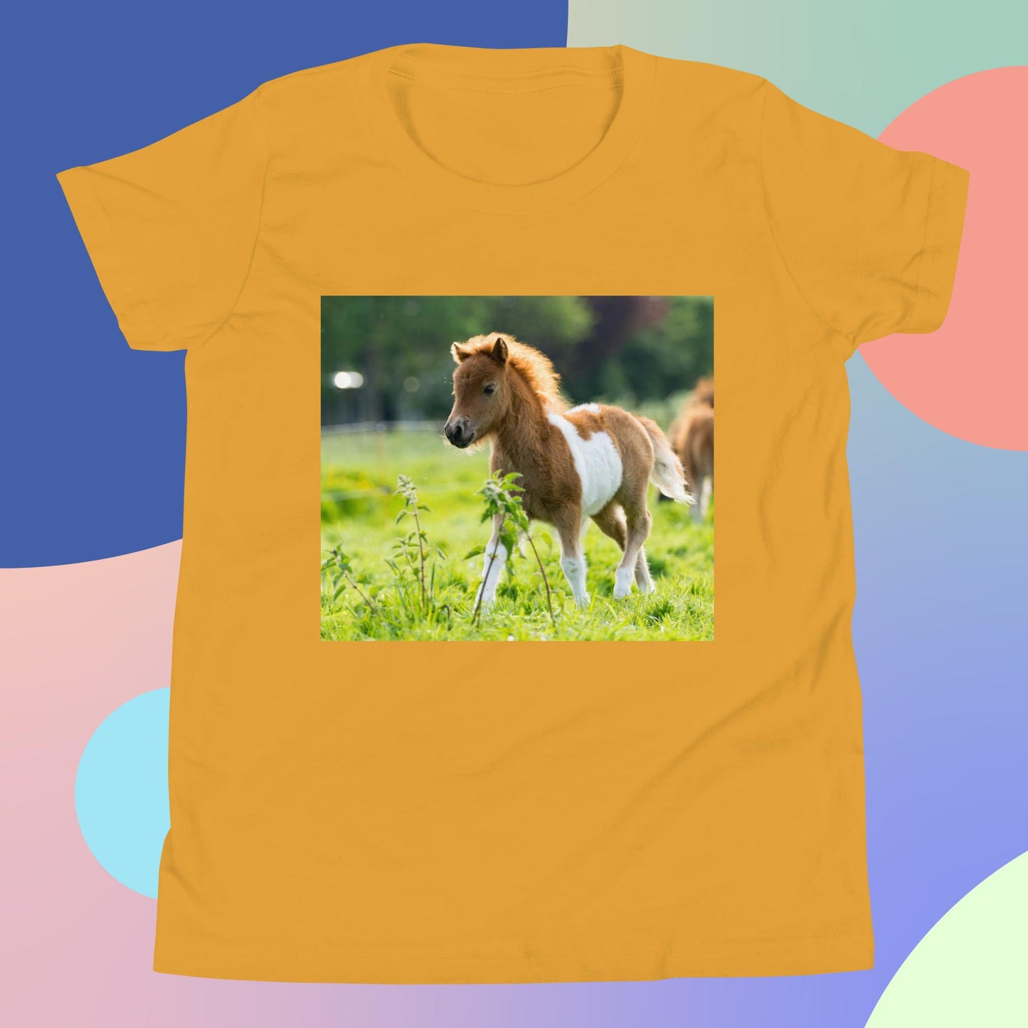 Beautiful Shetland Foal Pony - Youth Short Sleeve T-Shirt