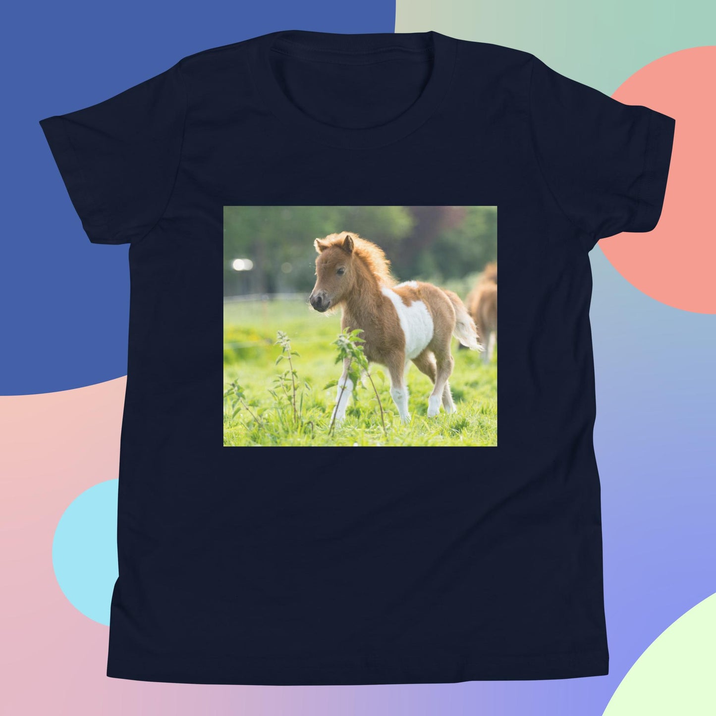 Beautiful Shetland Foal Pony - Youth Short Sleeve T-Shirt