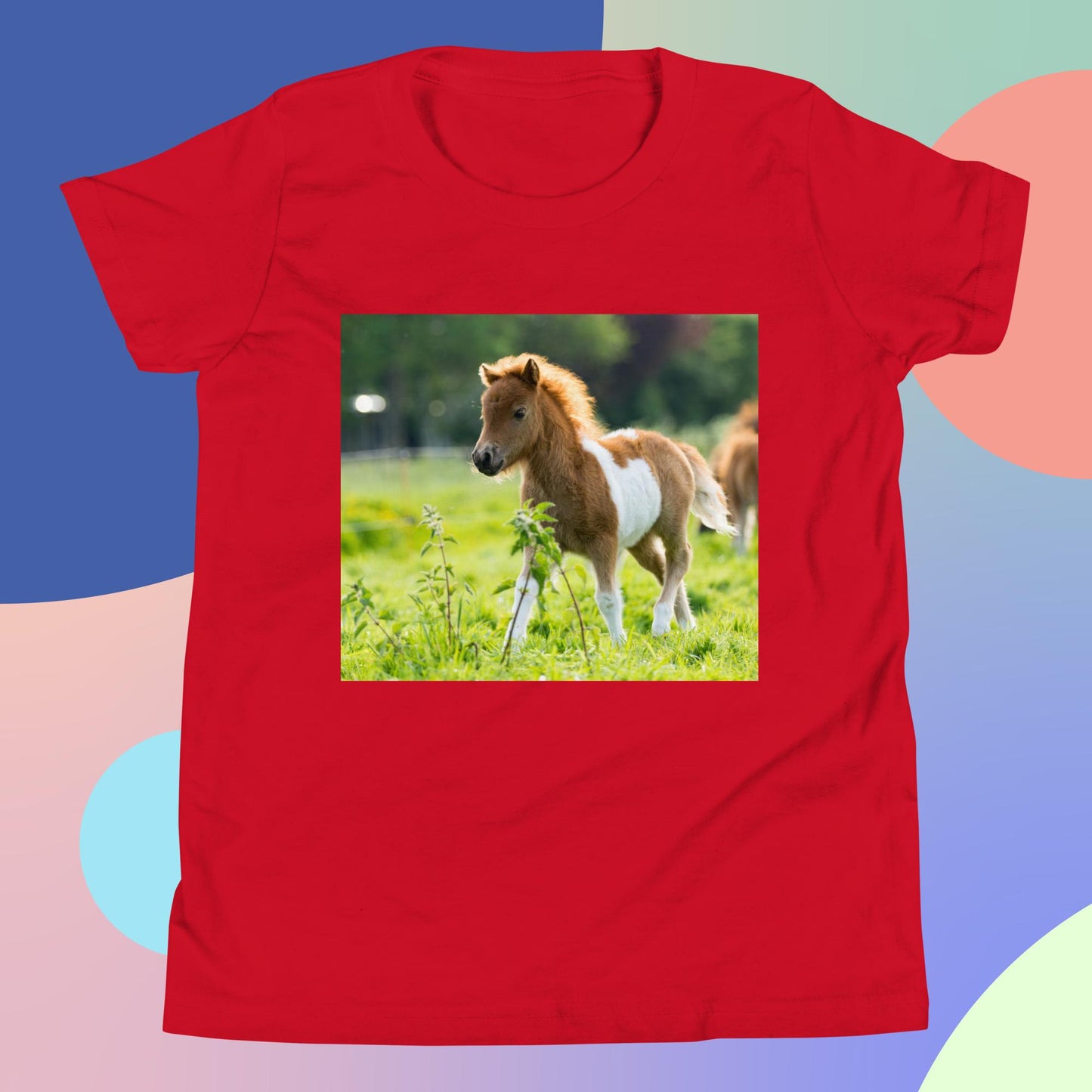 Beautiful Shetland Foal Pony - Youth Short Sleeve T-Shirt