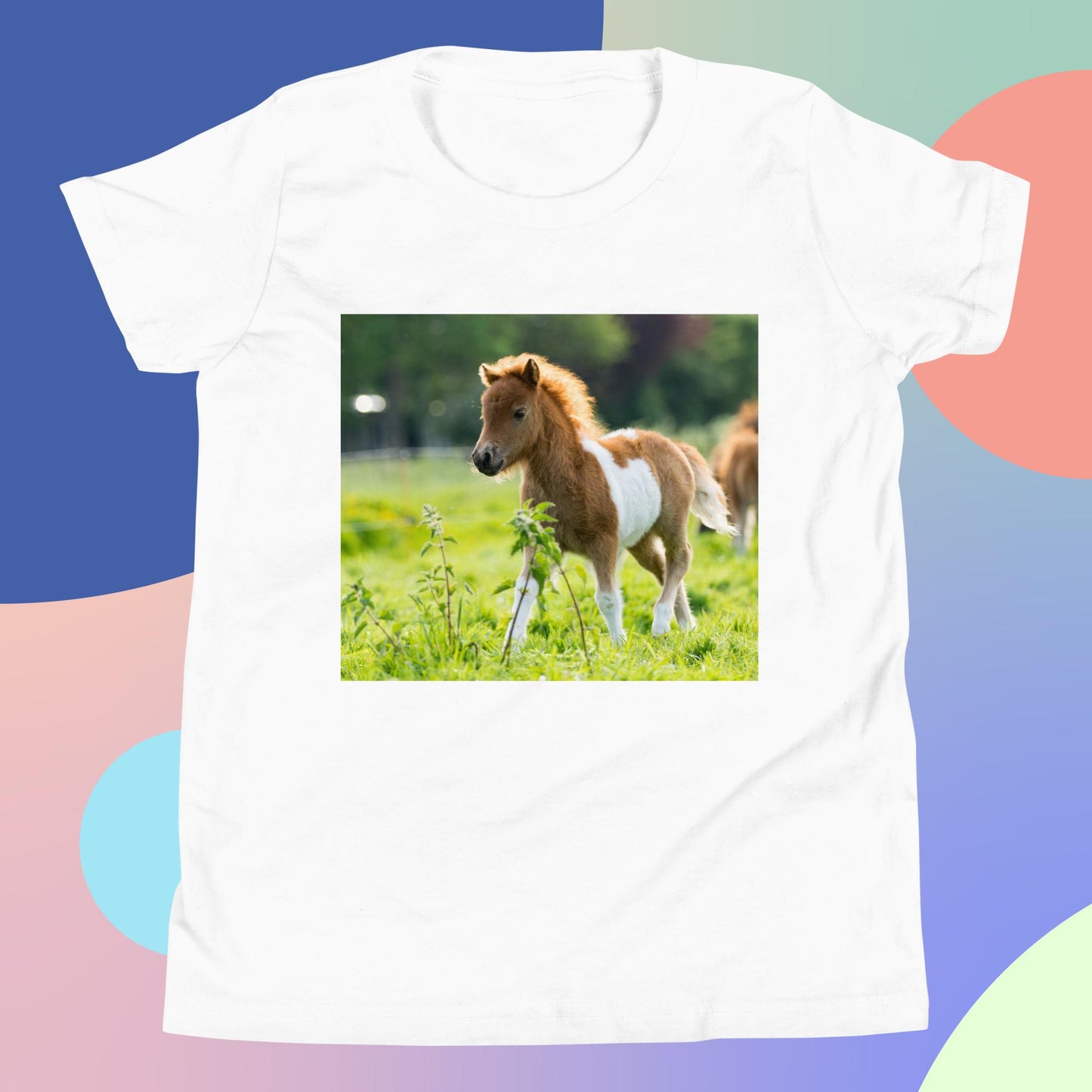 Beautiful Shetland Foal Pony - Youth Short Sleeve T-Shirt